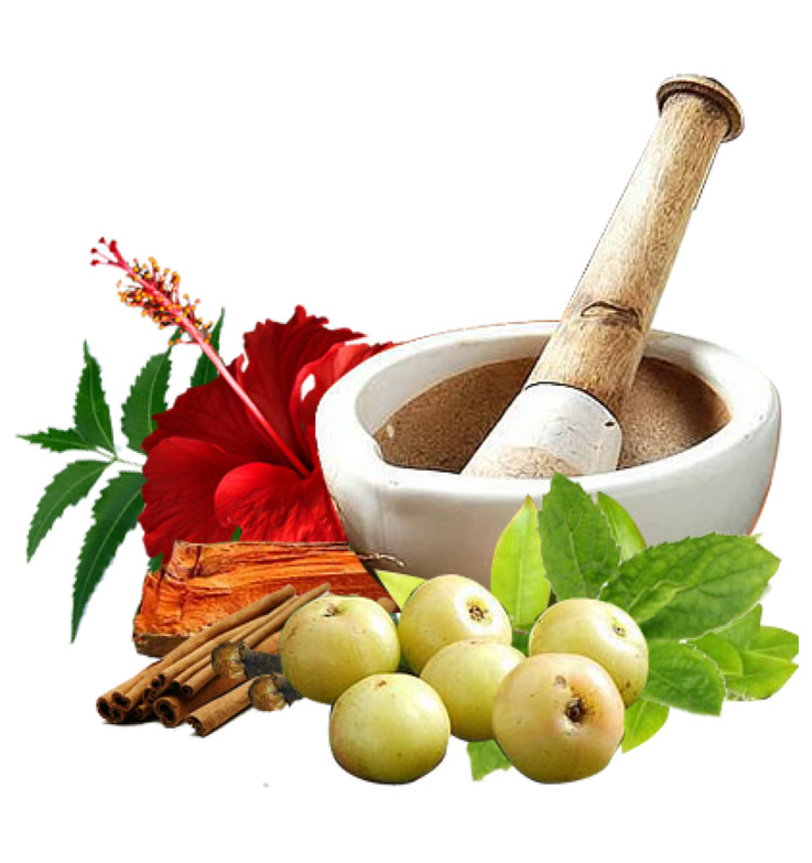 Ayurvedic-Services